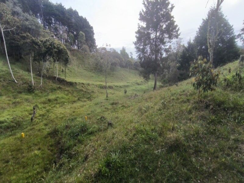 Lote en venta ubicado en Medellín, sector Vereda la Honda - 12