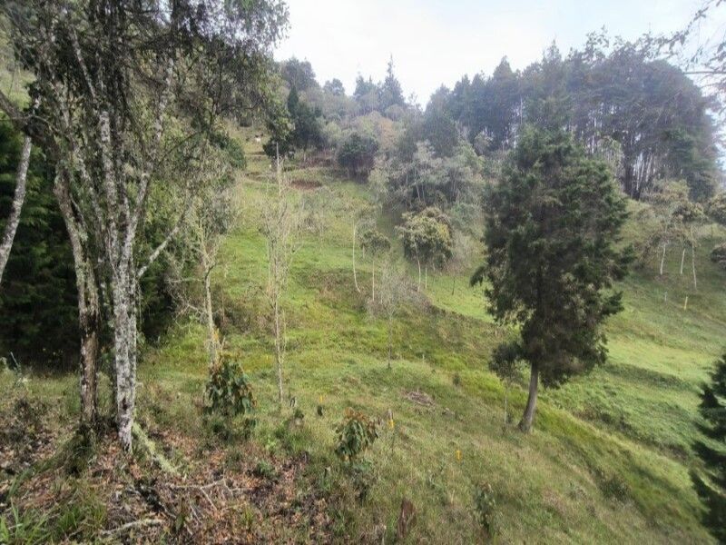 Lote en venta ubicado en Medellín, sector Vereda la Honda - 13