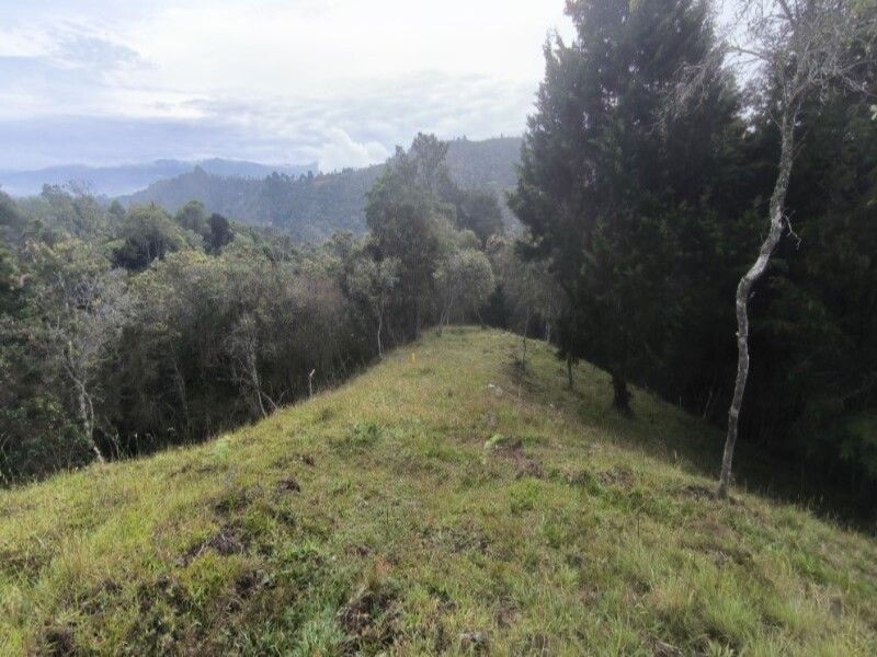 Lote en venta ubicado en Medellín, sector Vereda la Honda - 15