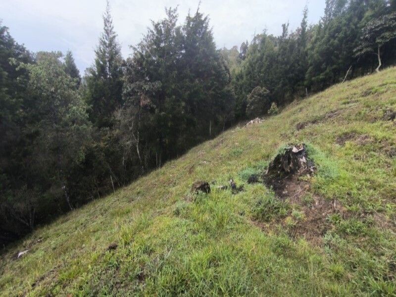 Lote en venta ubicado en Medellín, sector Vereda la Honda - 16