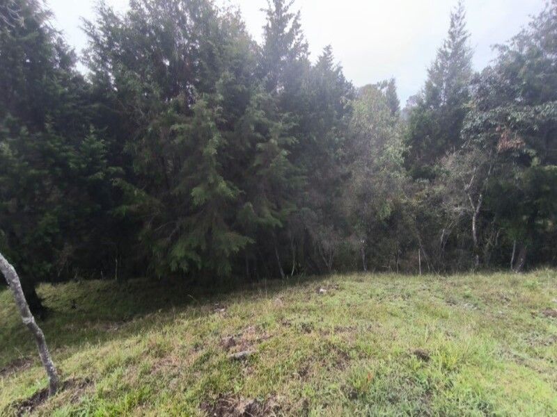 Lote en venta ubicado en Medellín, sector Vereda la Honda - 17