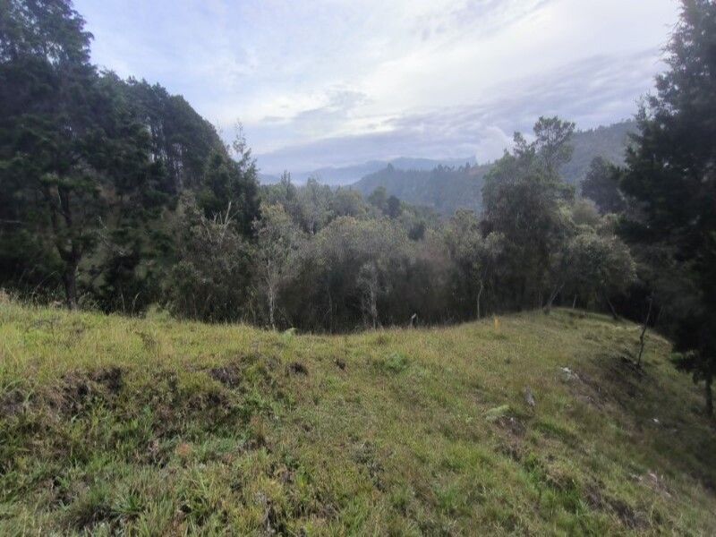 Lote en venta ubicado en Medellín, sector Vereda la Honda - 18