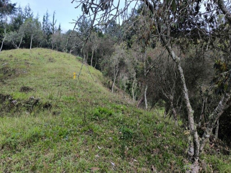 Lote en venta ubicado en Medellín, sector Vereda la Honda - 19