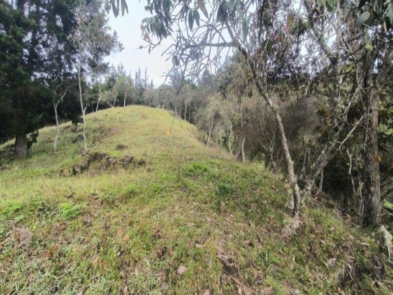 Lote en venta ubicado en Medellín, sector Vereda la Honda - 20