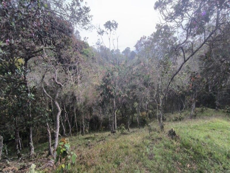 Lote en venta ubicado en Medellín, sector Vereda la Honda - 22