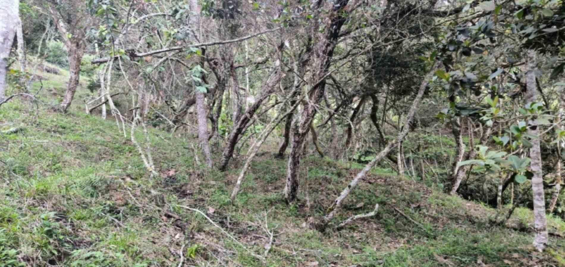 Lote en venta ubicado en Medellín, sector Vereda la Honda - 23