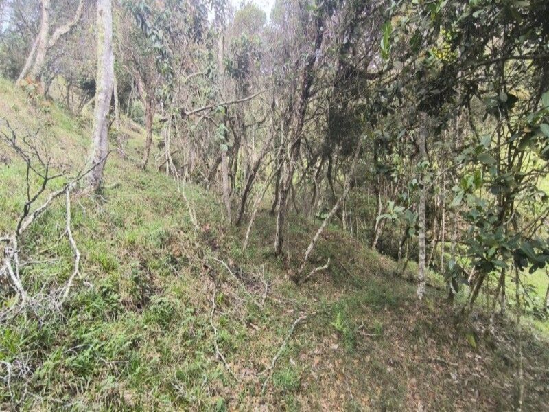 Lote en venta ubicado en Medellín, sector Vereda la Honda - 24