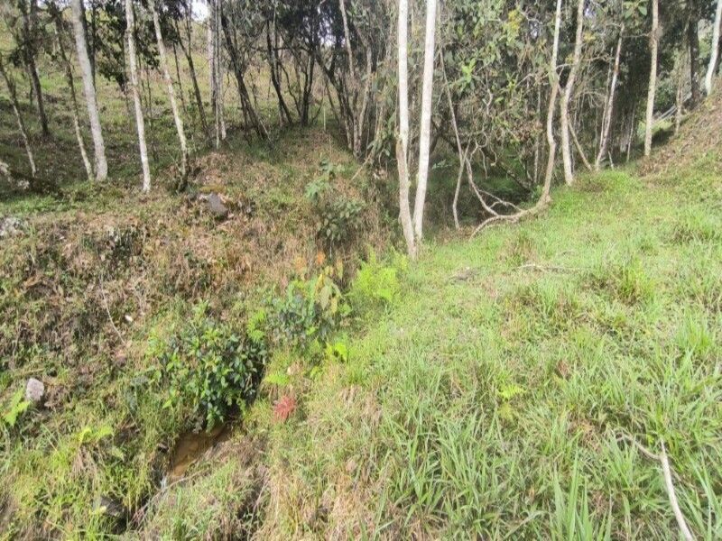 Lote en venta ubicado en Medellín, sector Vereda la Honda - 26