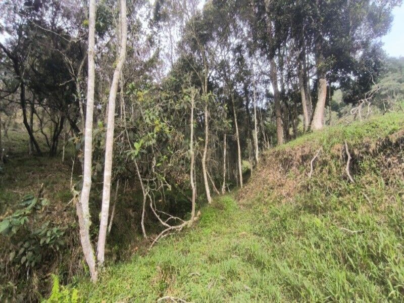 Lote en venta ubicado en Medellín, sector Vereda la Honda - 27
