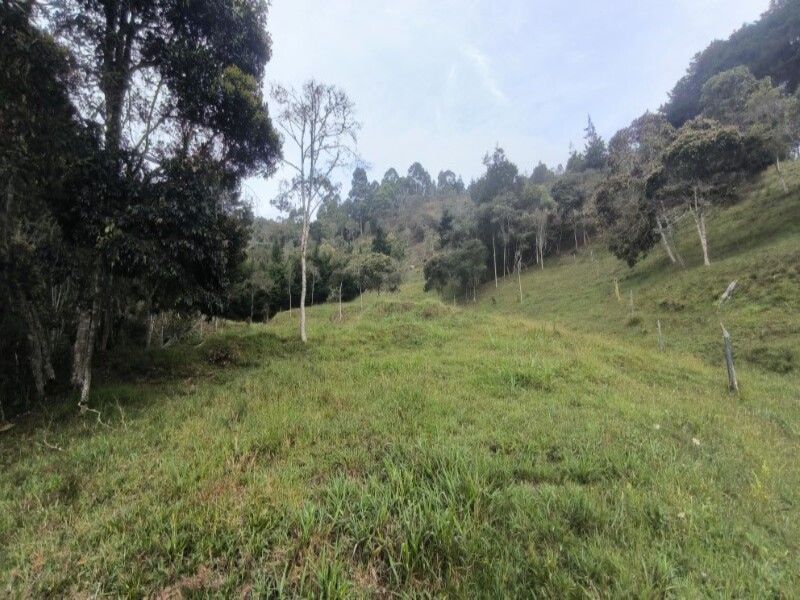 Lote en venta ubicado en Medellín, sector Vereda la Honda - 28