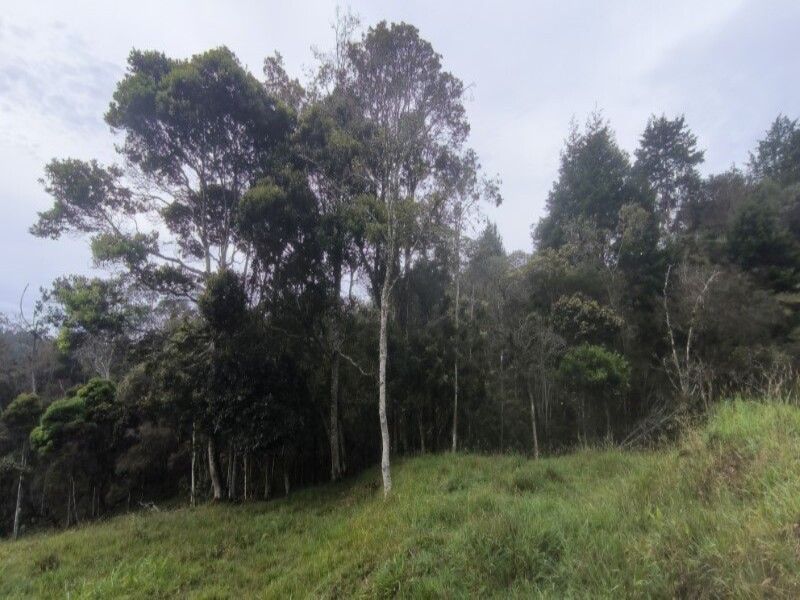 Lote en venta ubicado en Medellín, sector Vereda la Honda - 29