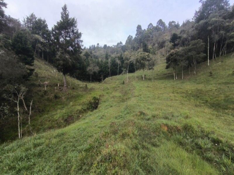Lote en venta ubicado en Medellín, sector Vereda la Honda - 30