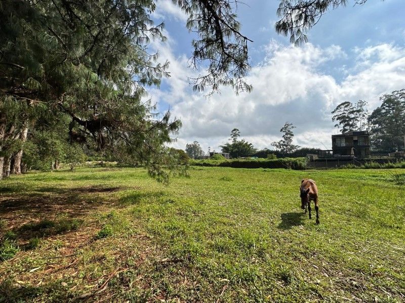 Lote en venta ubicado en Rionegro, sector Barro Blanco - 2