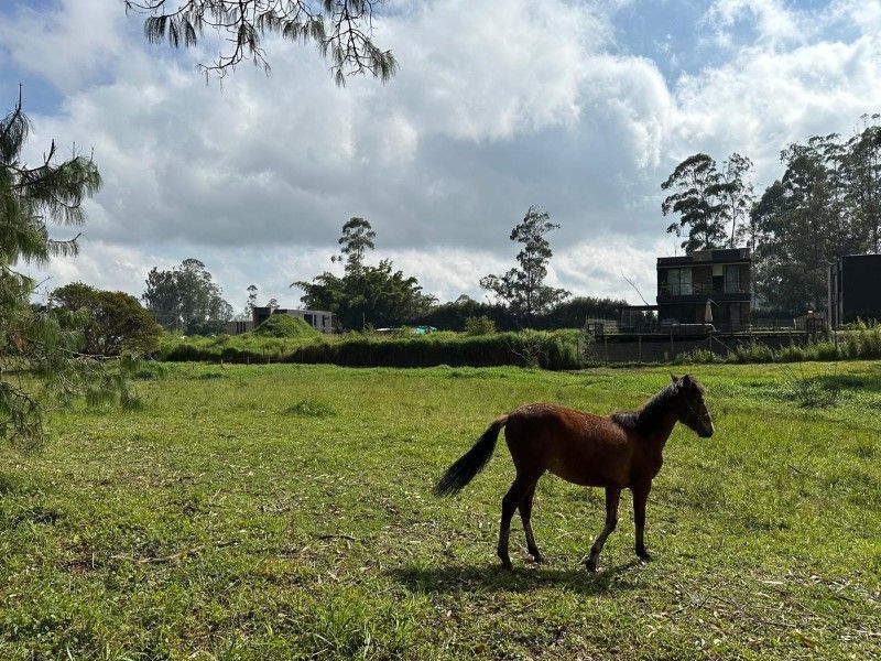 Lote en venta ubicado en Rionegro, sector Barro Blanco - 3