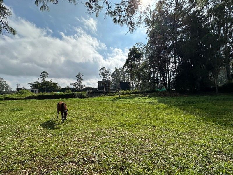 Lote en venta ubicado en Rionegro, sector Barro Blanco - 4