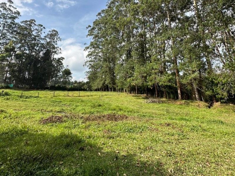 Lote en venta ubicado en Rionegro, sector Barro Blanco - 5