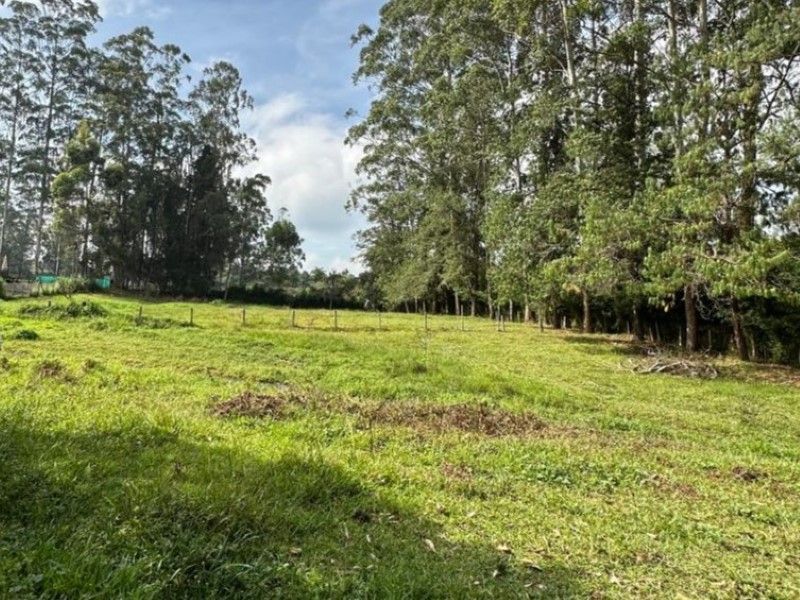 Lote en venta ubicado en Rionegro, sector Barro Blanco - 6