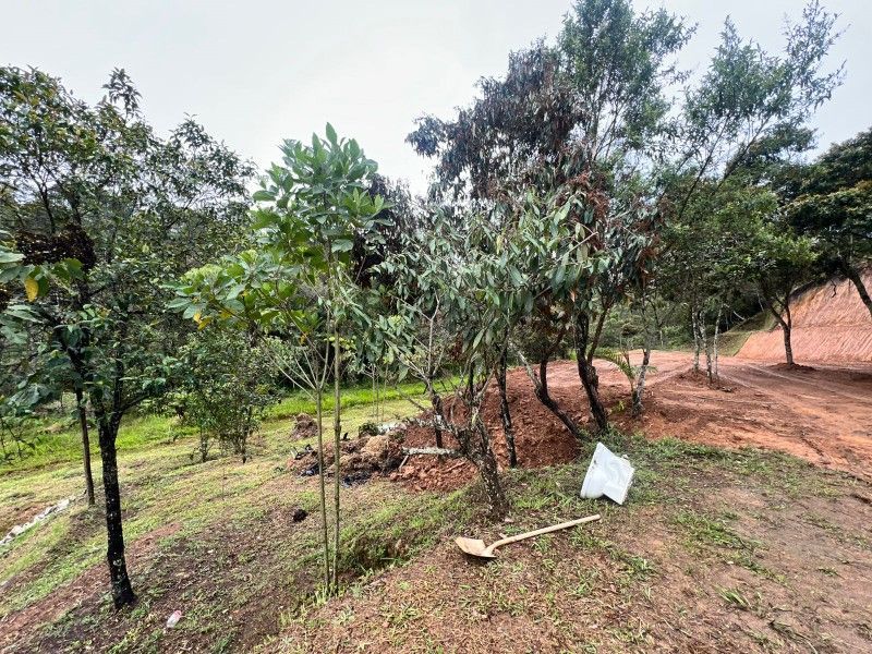 Lote en venta ubicado en Rionegro, sector La Mosquita - 6