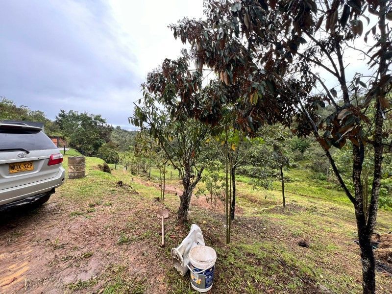 Lote en venta ubicado en Rionegro, sector La Mosquita - 10
