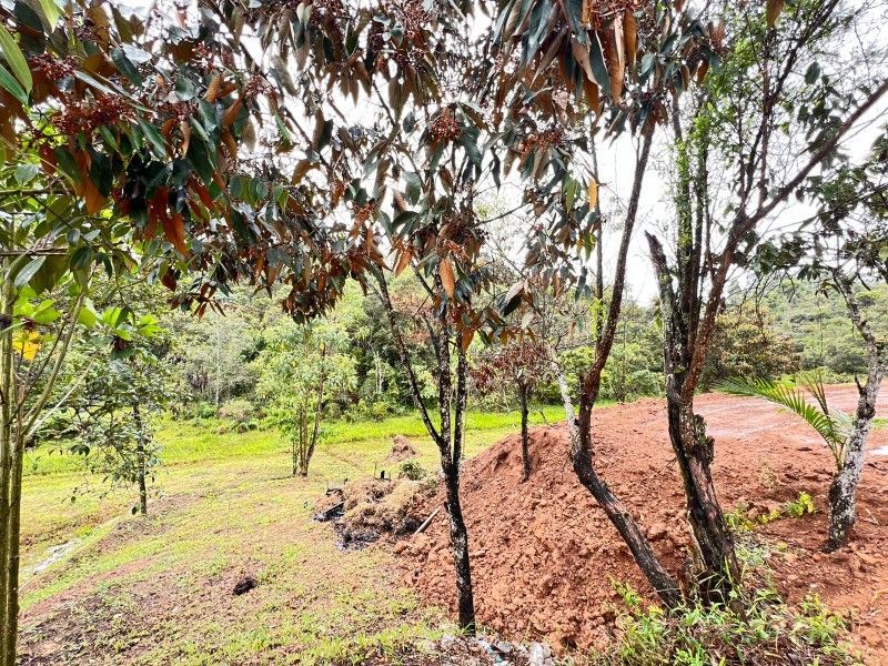 Lote en venta ubicado en Rionegro, sector La Mosquita - 11