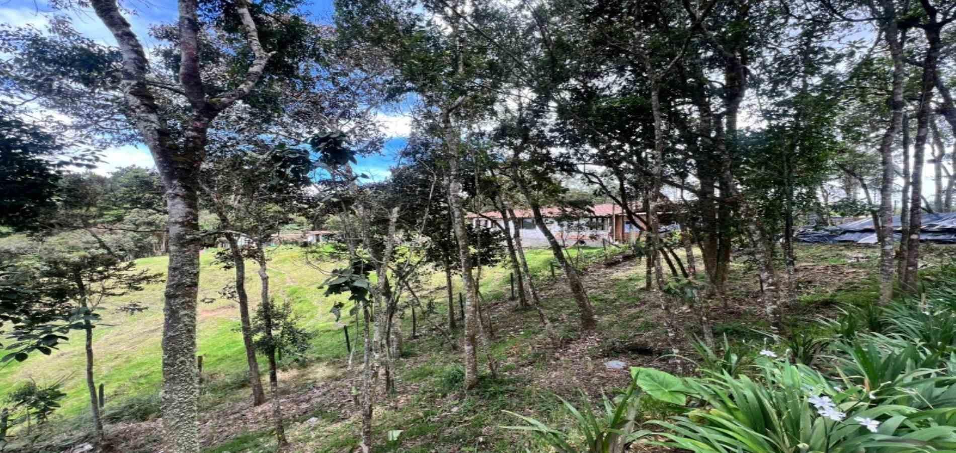 Finca en venta ubicada en Medellín, sector Piedras Blancas - 3