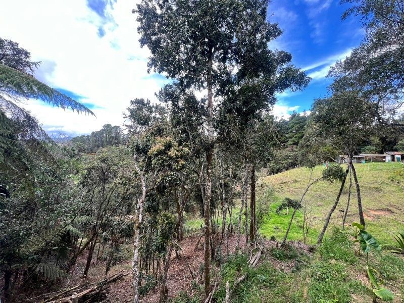 Finca en venta ubicada en Medellín, sector Piedras Blancas - 4