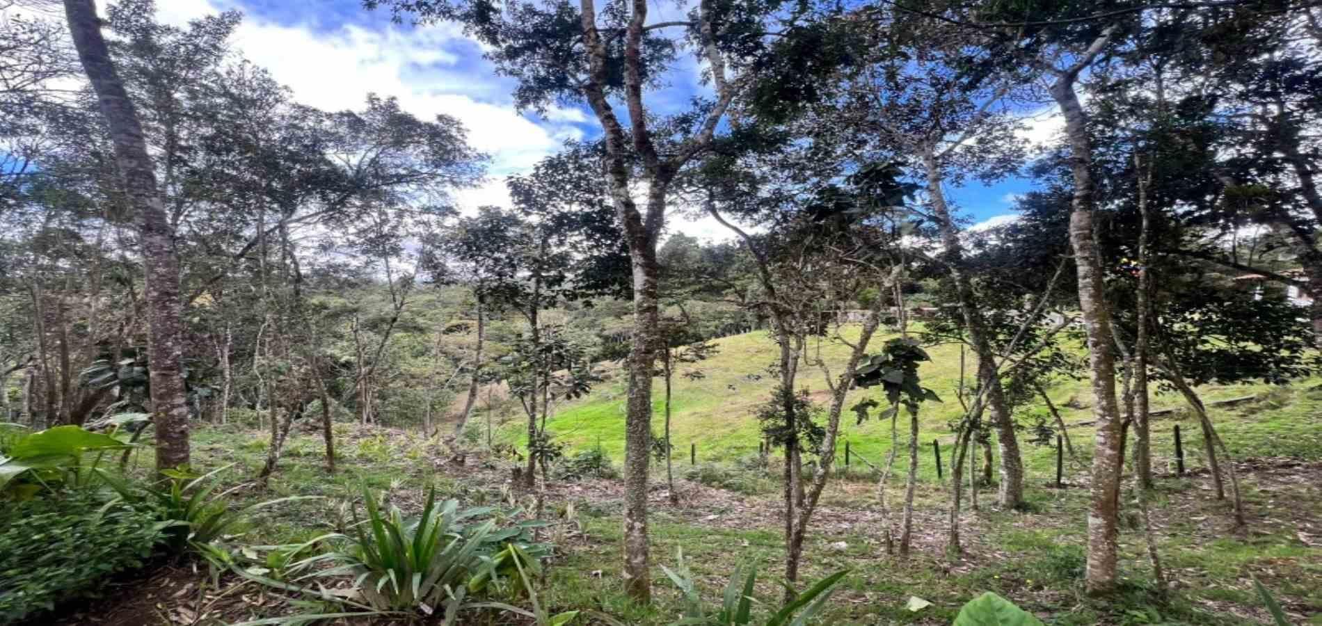 Finca en venta ubicada en Medellín, sector Piedras Blancas - 5