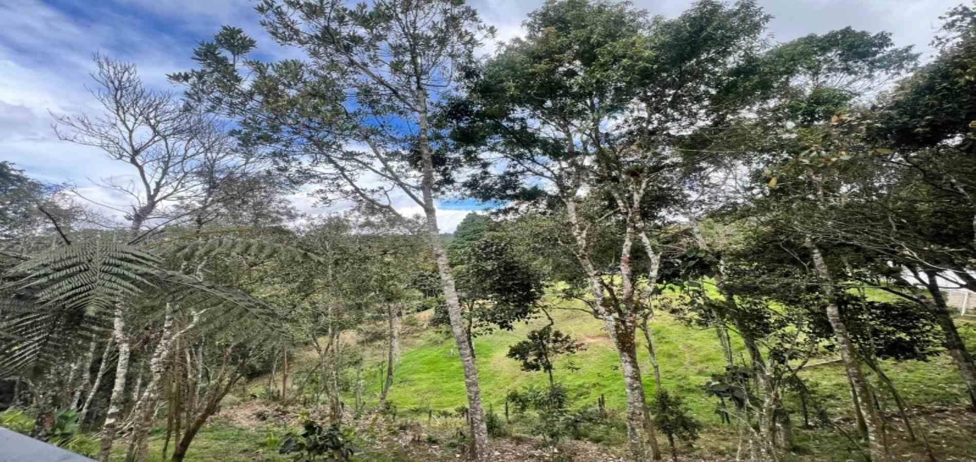 Finca en venta ubicada en Medellín, sector Piedras Blancas - 20