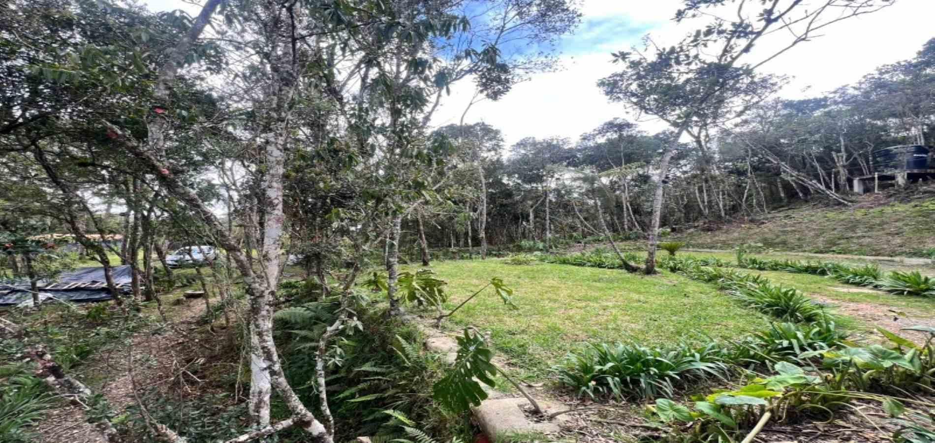 Finca en venta ubicada en Medellín, sector Piedras Blancas - 21