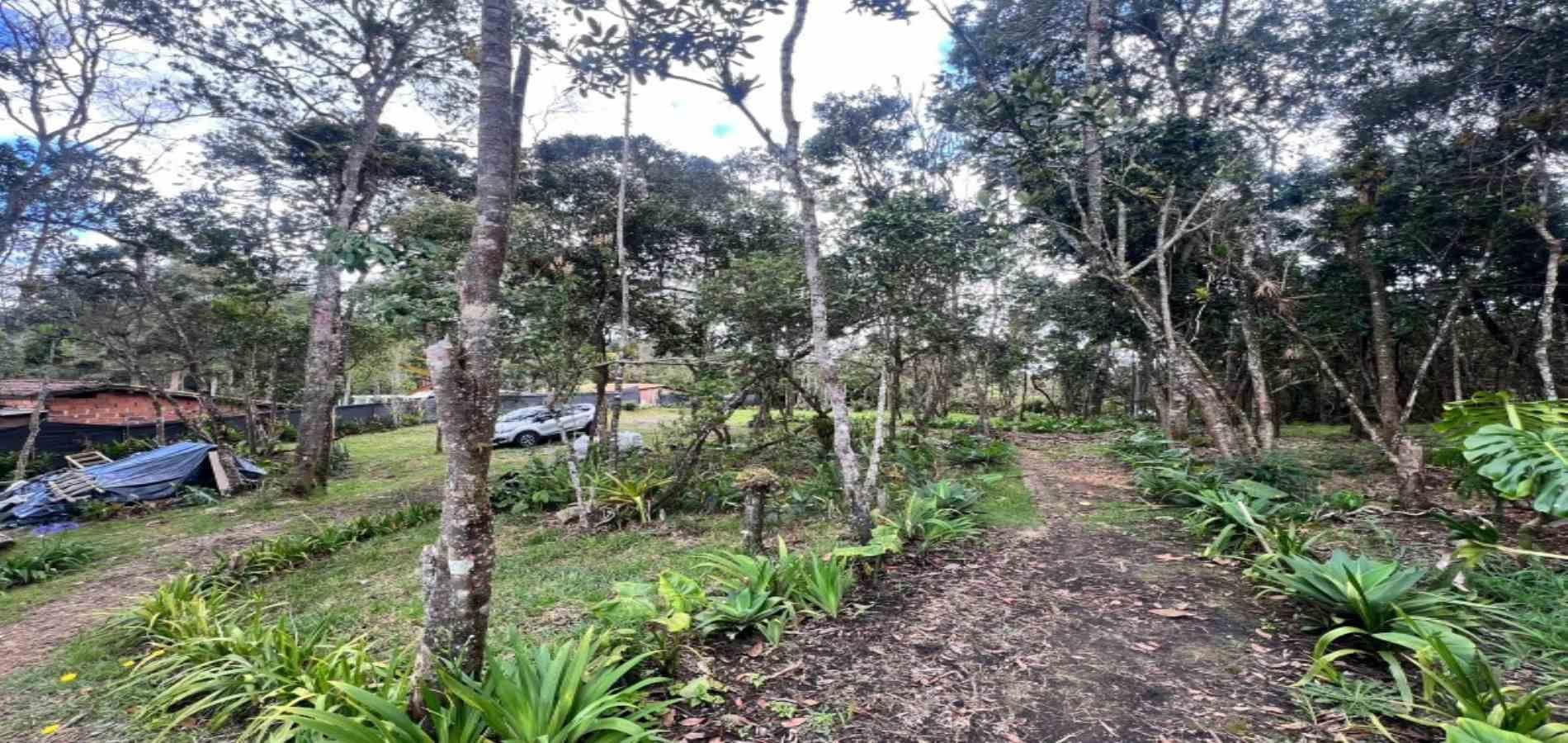 Finca en venta ubicada en Medellín, sector Piedras Blancas - 22