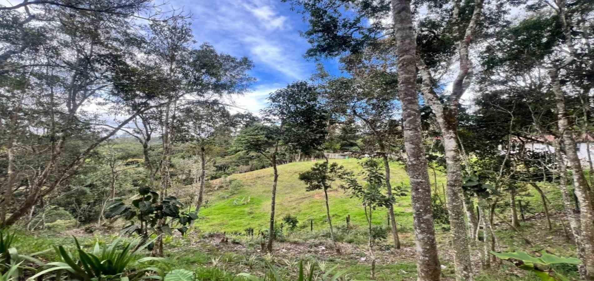 Finca en venta ubicada en Medellín, sector Piedras Blancas - 23