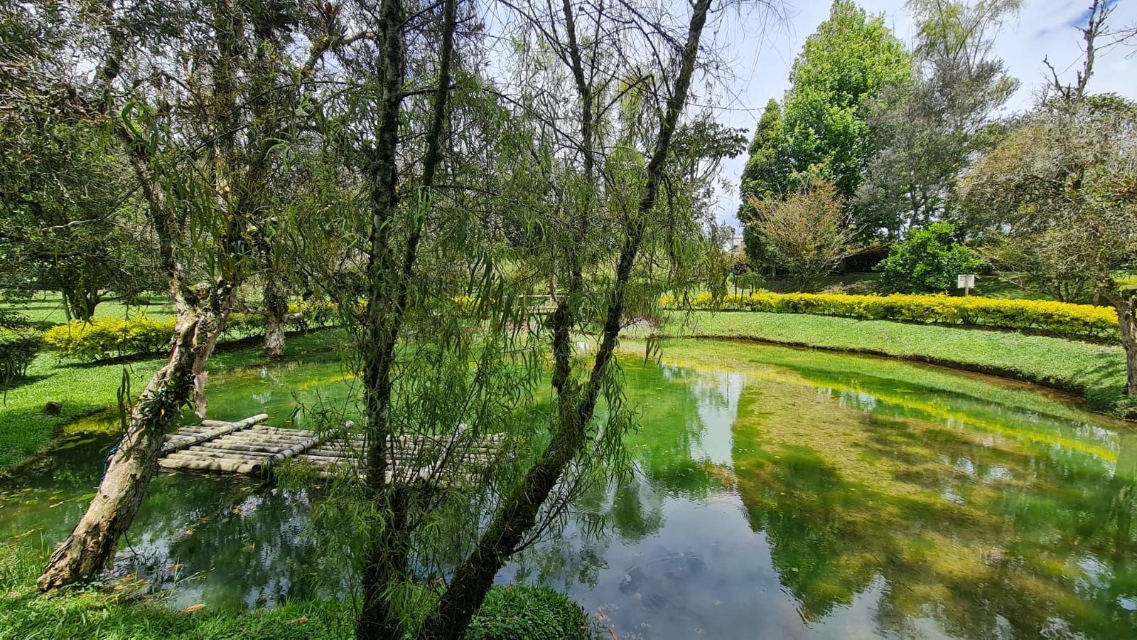 Lote en venta ubicado en Rionegro, sector Club Llanogrande - 3