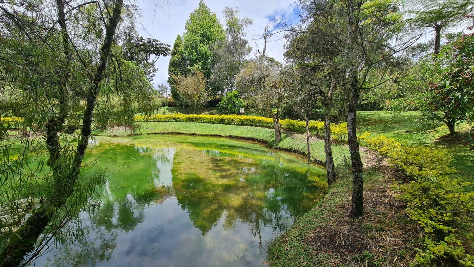 Lote en venta ubicado en Rionegro, sector Club Llanogrande - 4