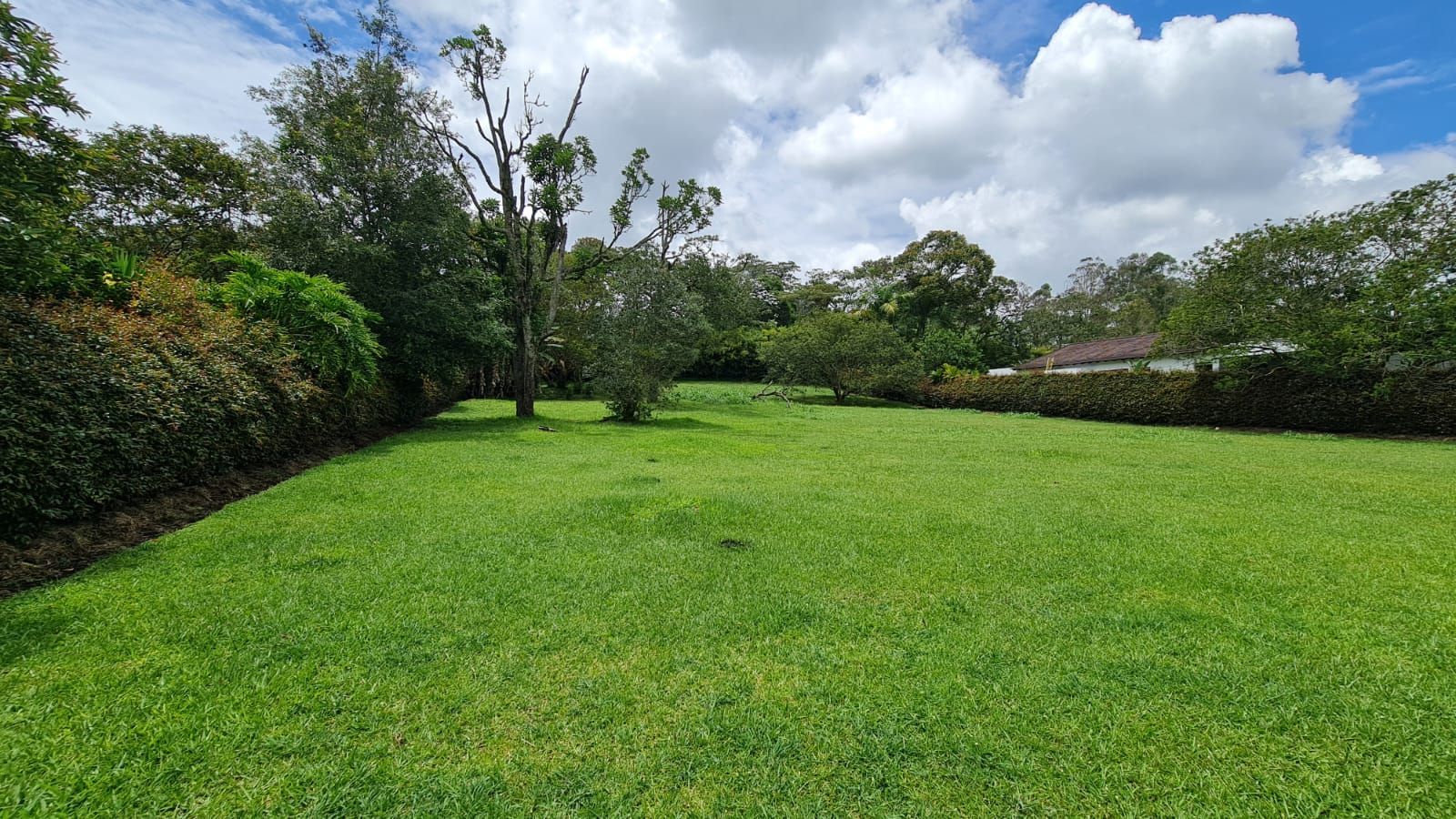 Lote en venta ubicado en Rionegro, sector Club Llanogrande - 5
