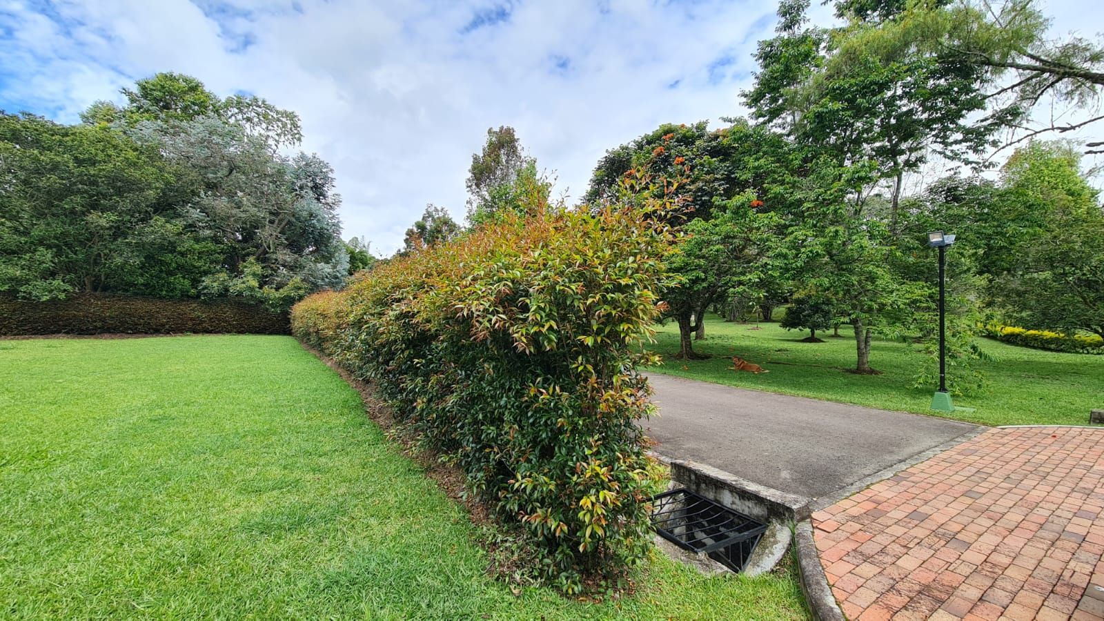 Lote en venta ubicado en Rionegro, sector Club Llanogrande - 8
