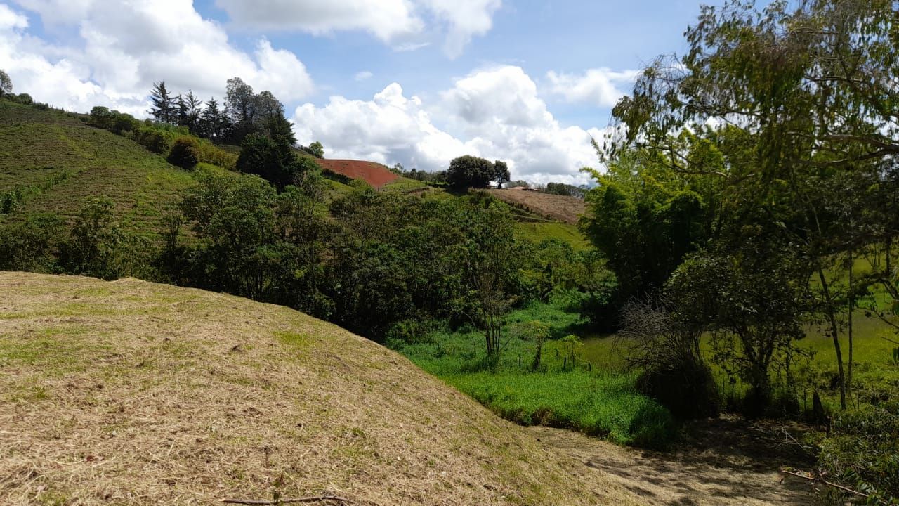 Lote en venta ubicado en El Carmen de Viboral, sector Canada - 4
