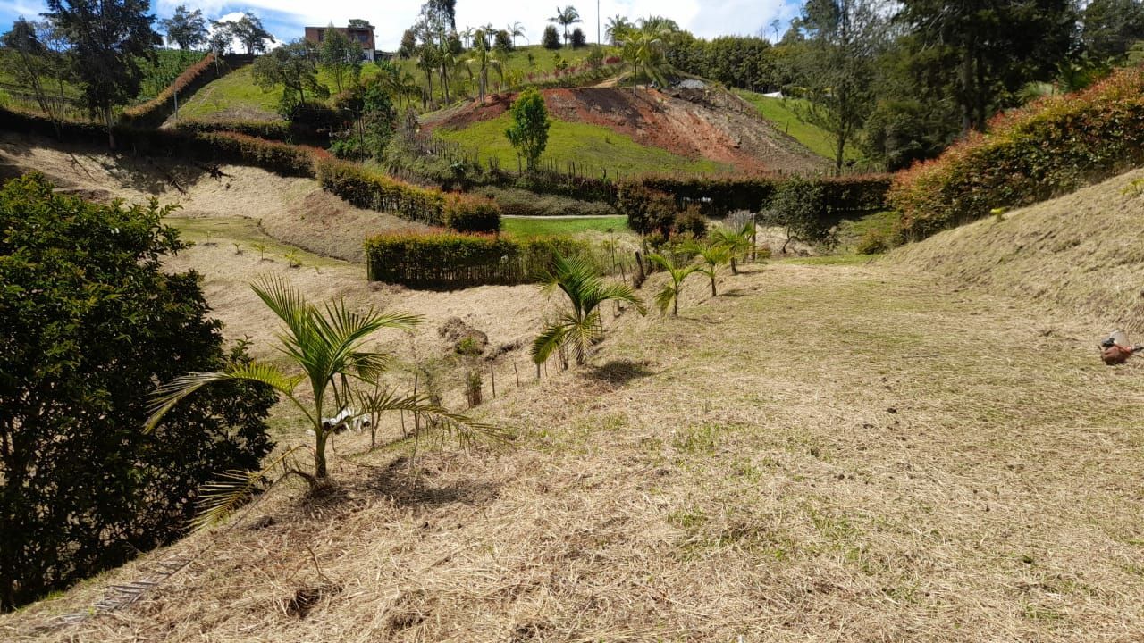 Lote en venta ubicado en El Carmen de Viboral, sector Canada - 5