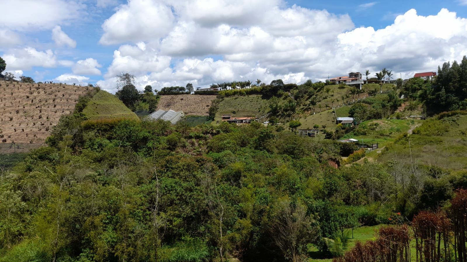 Lote en venta ubicado en El Carmen de Viboral, sector Canada - 7