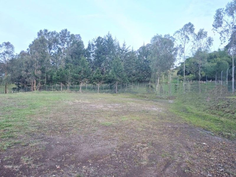 Lote en venta ubicado en El Retiro, sector Fizebad - 3