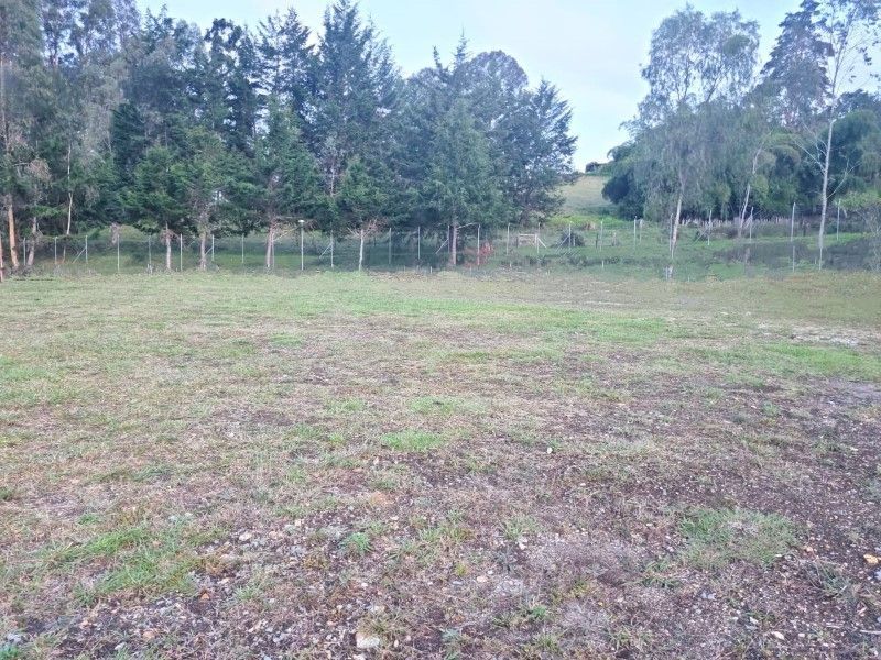 Lote en venta ubicado en El Retiro, sector Fizebad - 5