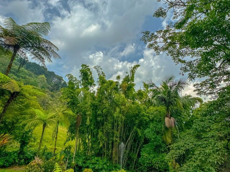Casa en venta ubicada en Envigado, sector Los Balsos Parte Alta - 28