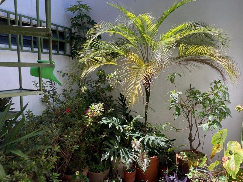 Casa en venta ubicada en Medellín, sector La Milagrosa - 6