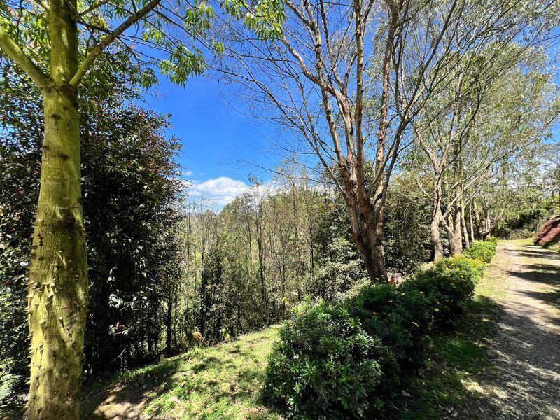 Finca en venta ubicada en Rionegro, sector La Macarena - 26