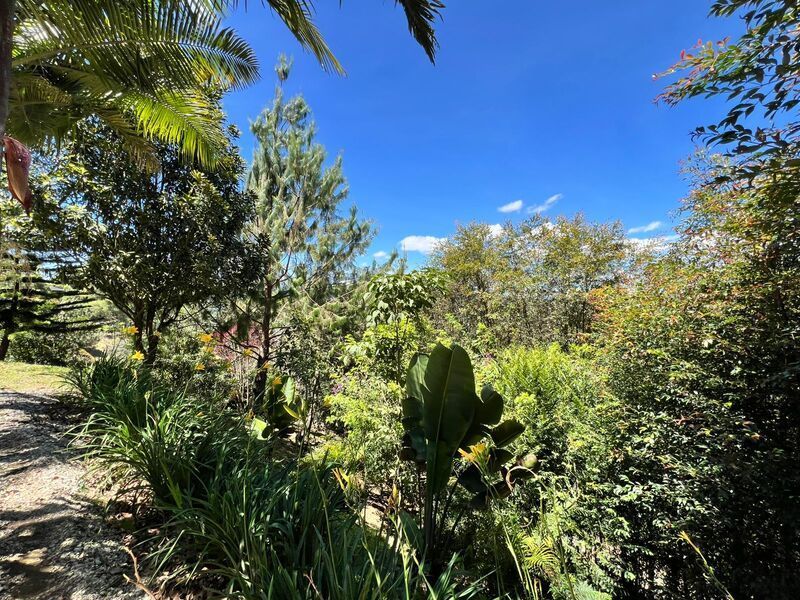 Finca en venta ubicada en Rionegro, sector La Macarena - 29
