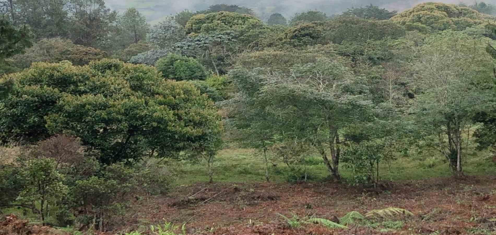 Lote en venta ubicado en Rionegro, sector Sajonia - 2