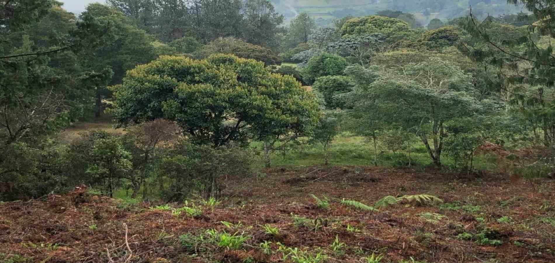 Lote en venta ubicado en Rionegro, sector Sajonia - 3