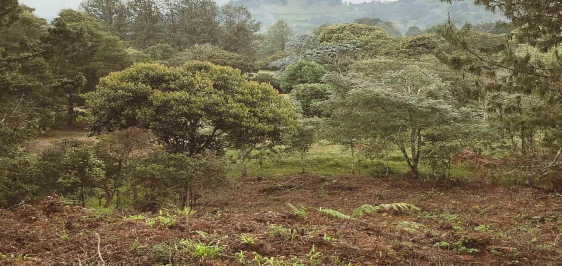 Lote en venta ubicado en Rionegro, sector Sajonia - 4
