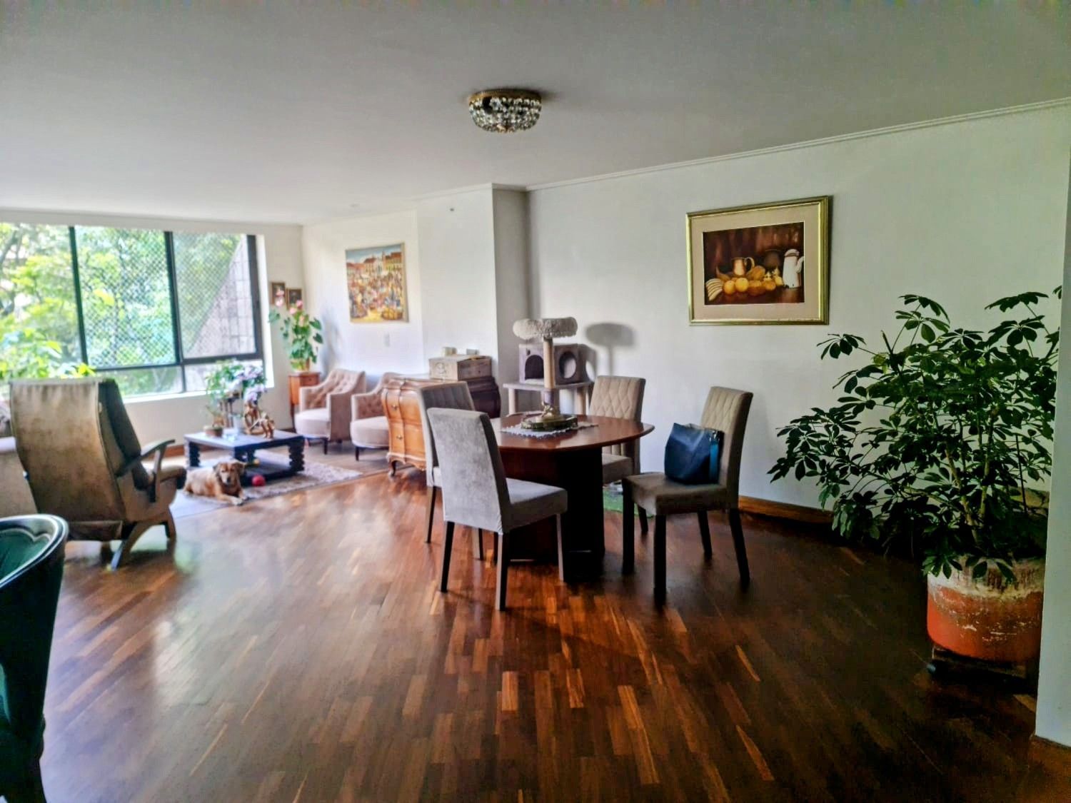 Apartamento en venta ubicado en Medellín, sector Transversal Inferior - 3