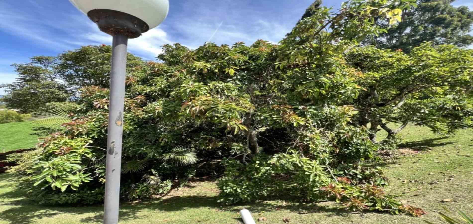 Finca en venta ubicada en Rionegro, sector Sajonia - 25