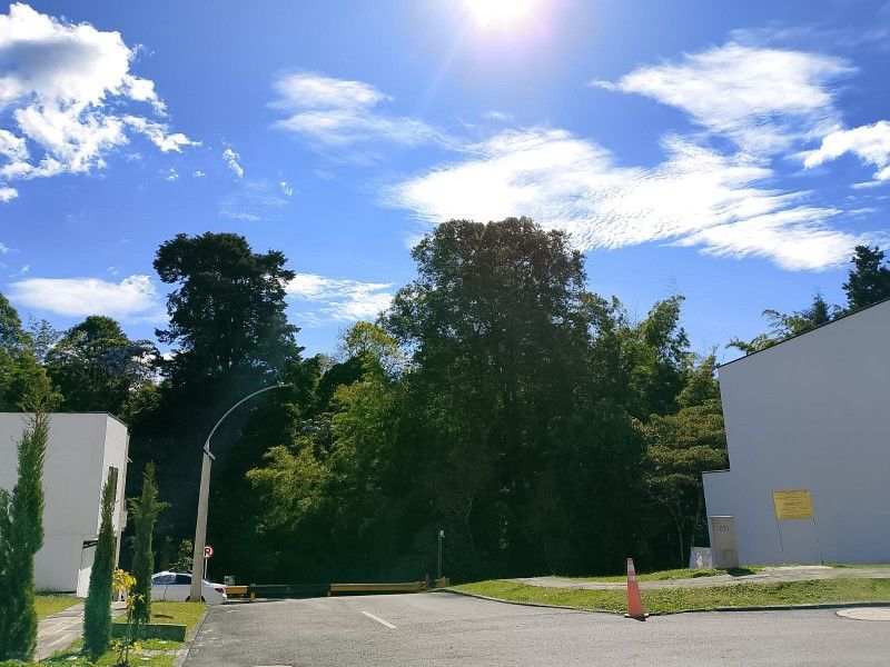 Lote en venta ubicado en Rionegro, sector Llanogrande - 6